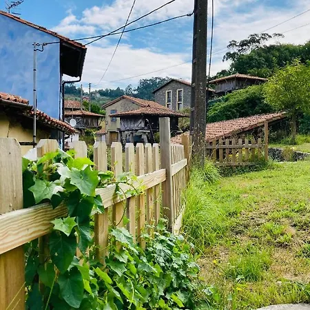 Casa Azul Rodiles Selorio